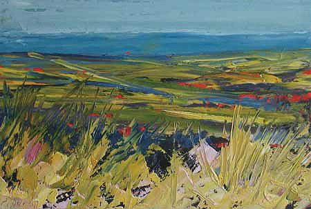 Coastal Fields