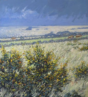 On St Agnes, Isles of Scilly by Robert Jones