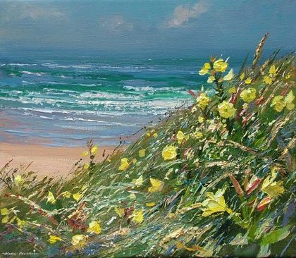 Evening primroses, Sennen by Mark Preston