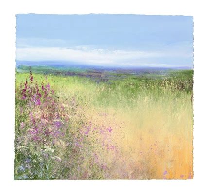Fields of Flowers near St Ives by Amanda Hoskin