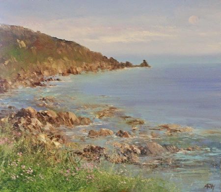 Beautiful Day at Lamorna Cove by Amanda Hoskin