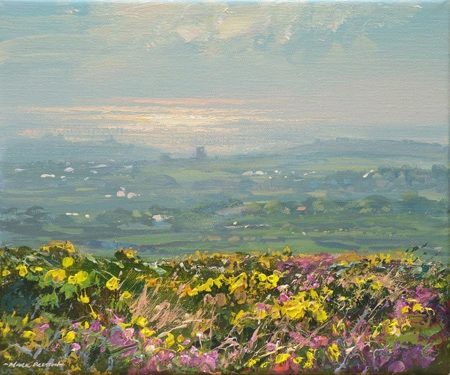 Hazy light, Carnyorth Common by Mark Preston